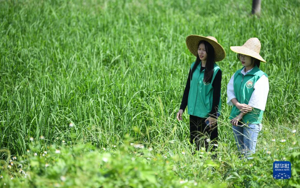 欢迎来到公海堵船